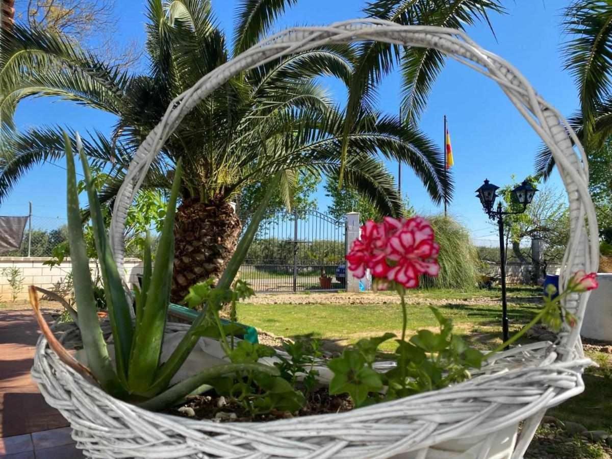 Hotel Rural Villa Torreaguila Badajoz Kültér fotó