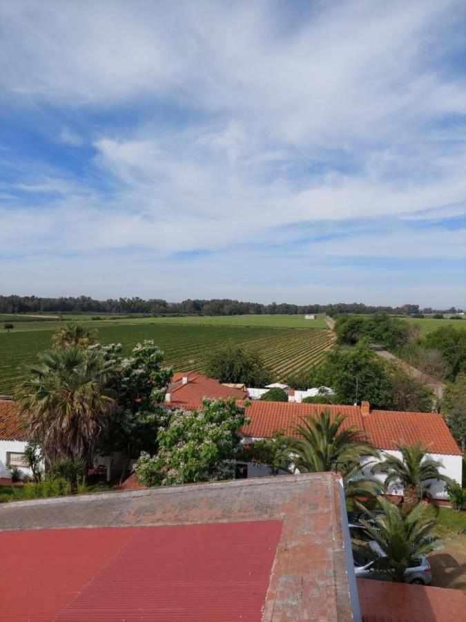 Hotel Rural Villa Torreaguila Badajoz Kültér fotó