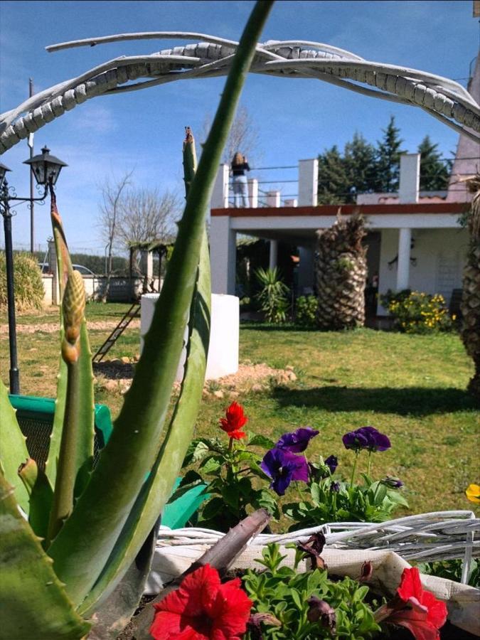 Hotel Rural Villa Torreaguila Badajoz Kültér fotó